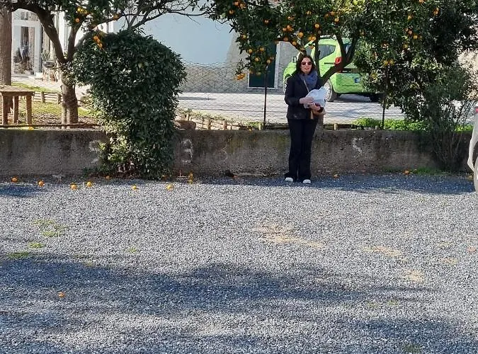 La Perle Marine Appartement *